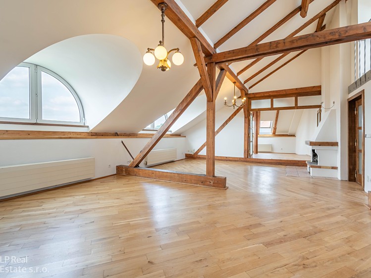 Prodej bytu atypické 316 m² (Mezonet) - foto 8