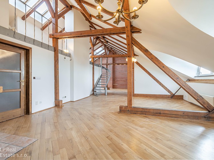 Prodej bytu atypické 316 m² (Mezonet) - foto 6