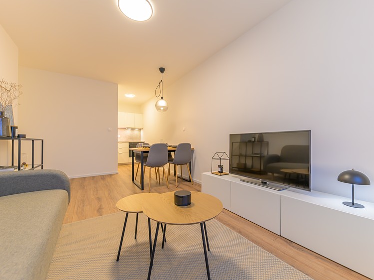 Prodej bytu 2+kk 43 m² (Jednopodlažní) - foto 2