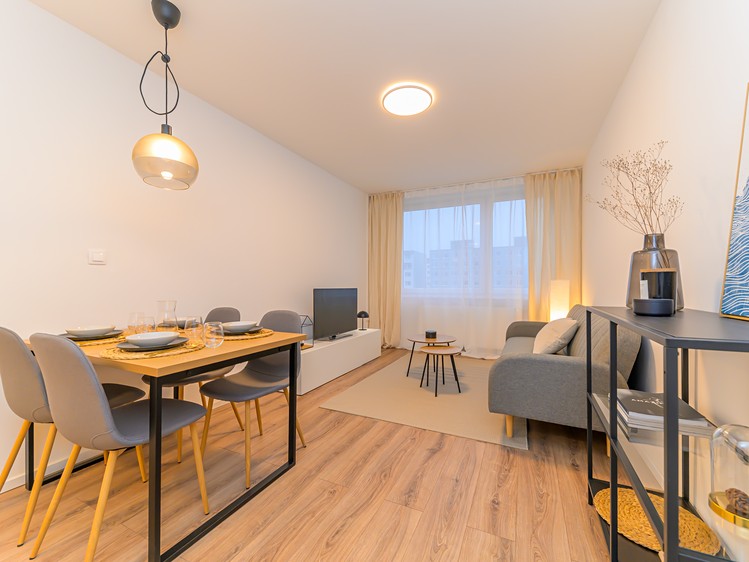 Prodej bytu 2+kk 43 m² (Jednopodlažní) - foto 4