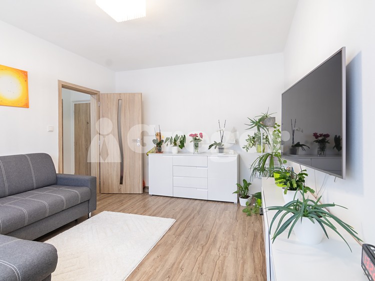 Prodej bytu 2+1 44 m² (Jednopodlažní) - foto 3