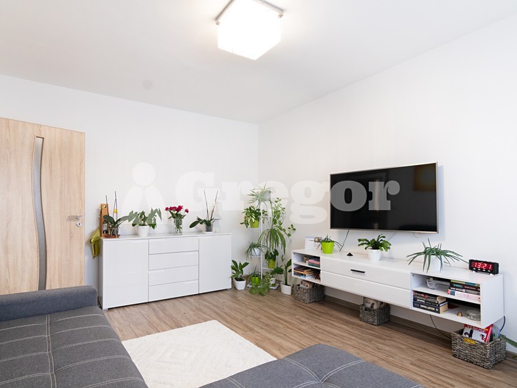 Prodej bytu 2+1 44 m² (Jednopodlažní) - foto 4