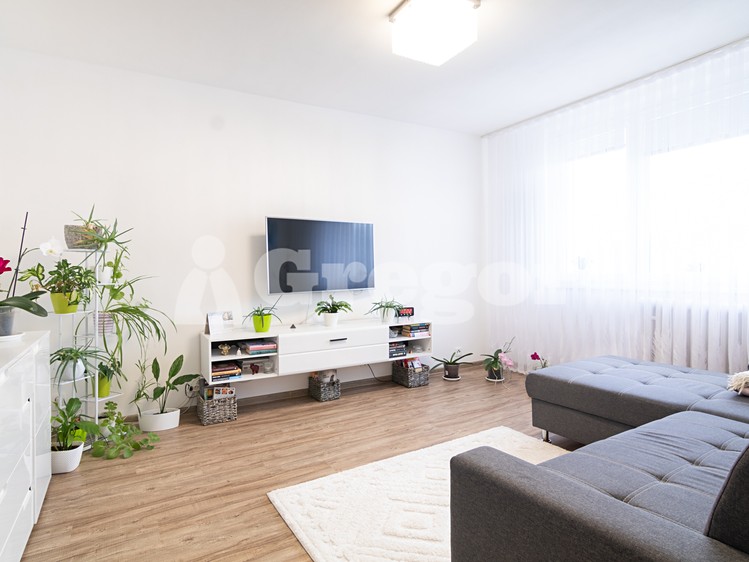 Prodej bytu 2+1 44 m² (Jednopodlažní) - foto 6