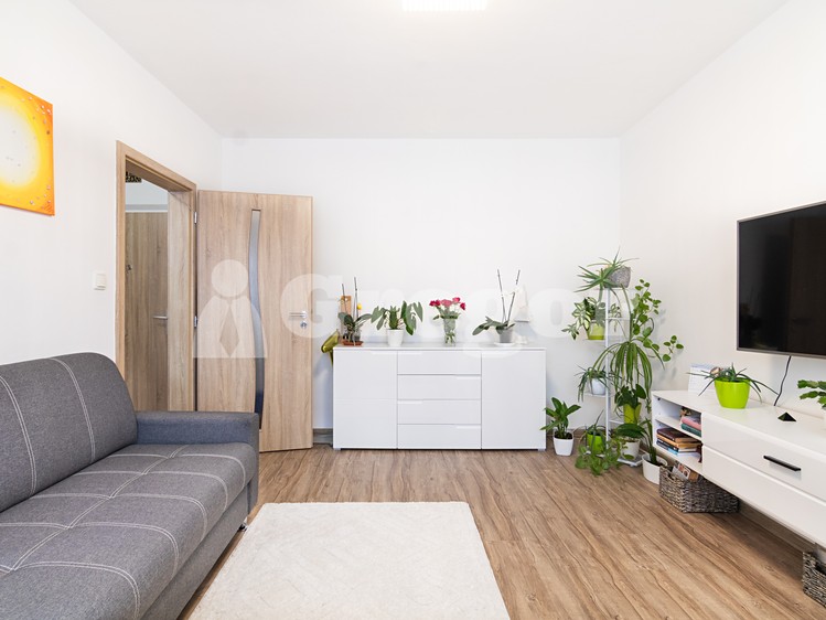 Prodej bytu 2+1 44 m² (Jednopodlažní) - foto 5