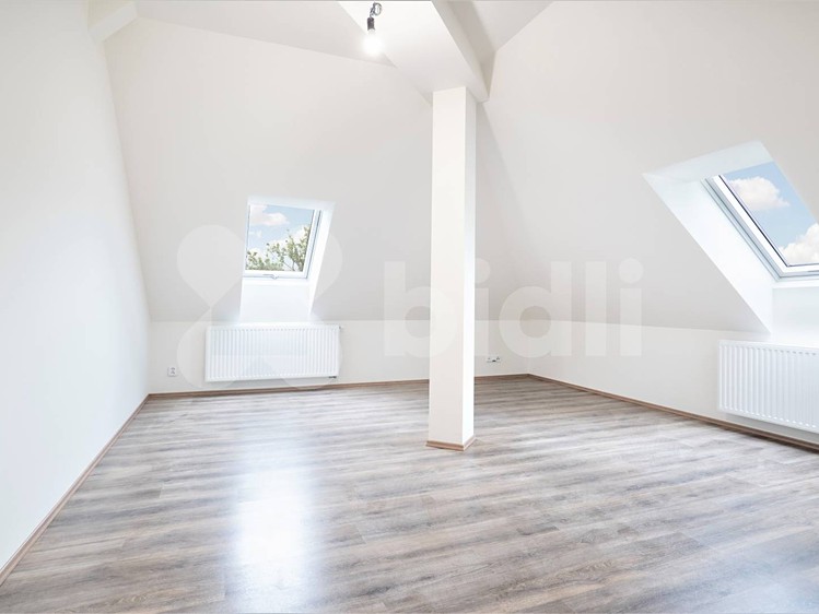 Prodej bytu 2+kk 66 m² (Podkrovní) - foto 4