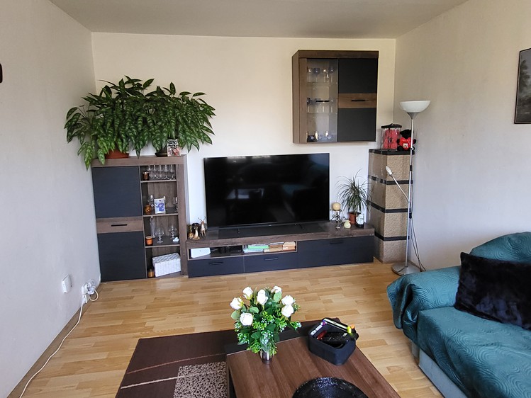 Prodej bytu 1+1 35 m² (Jednopodlažní) - foto 1