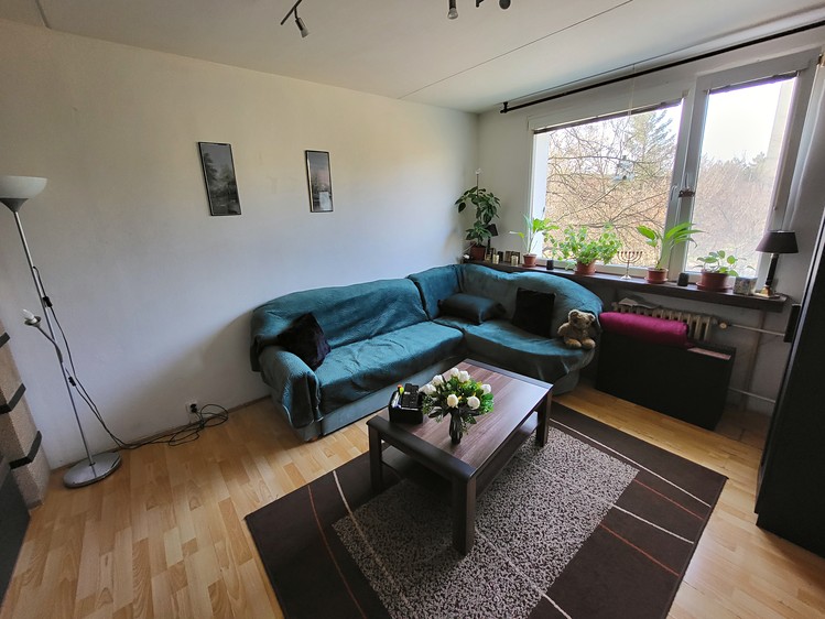 Prodej bytu 1+1 35 m² (Jednopodlažní) - foto 2