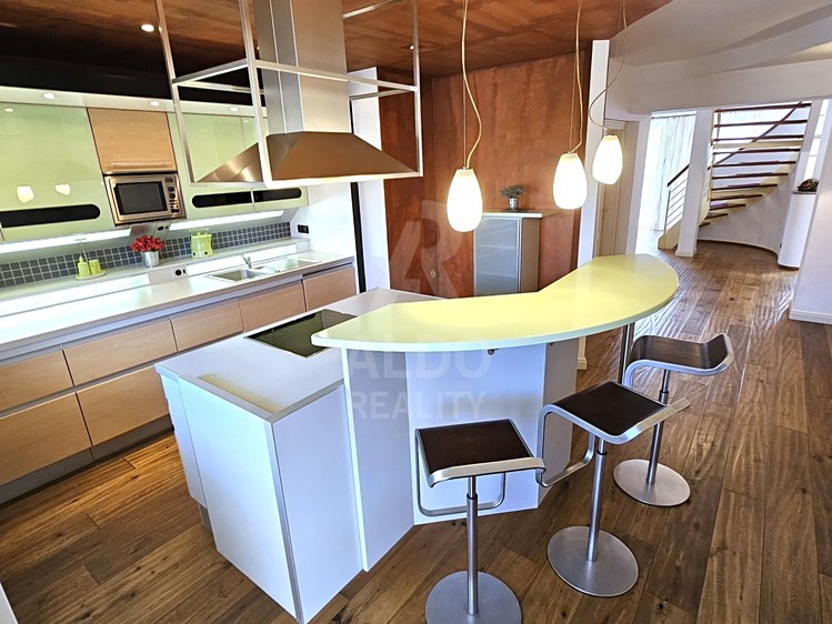 Prodej bytu atypické 255 m² - foto 4
