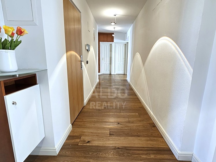 Prodej bytu atypické 255 m² - foto 7