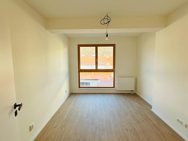 Prodej bytu 3+1 109 m² (Jednopodlažní) - foto 6