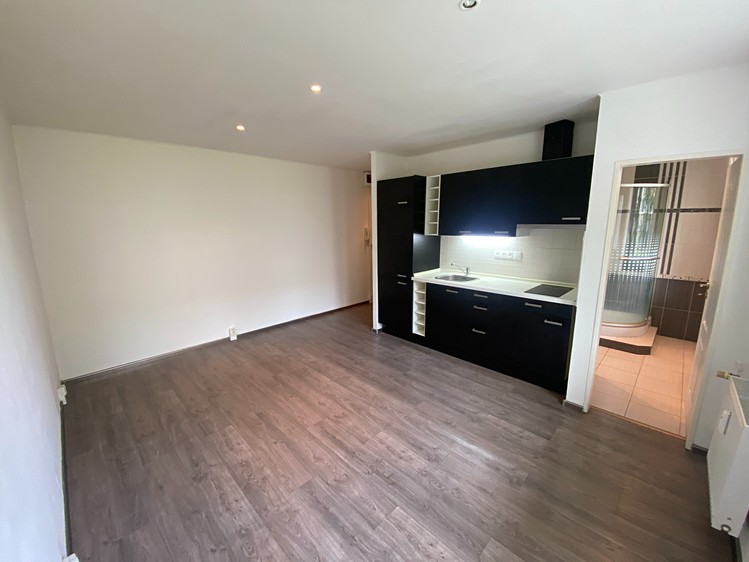 Pronájem bytu 1+kk 35 m² - foto 1