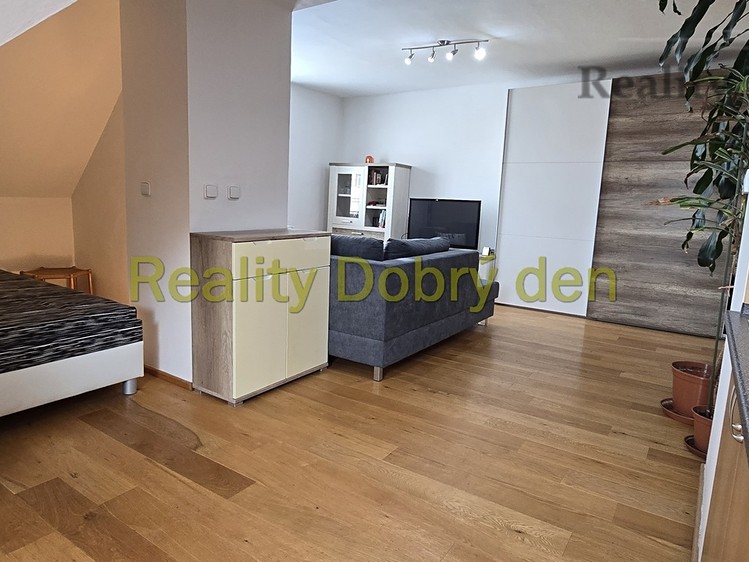 Pronájem bytu 1+kk 53 m² - foto 6