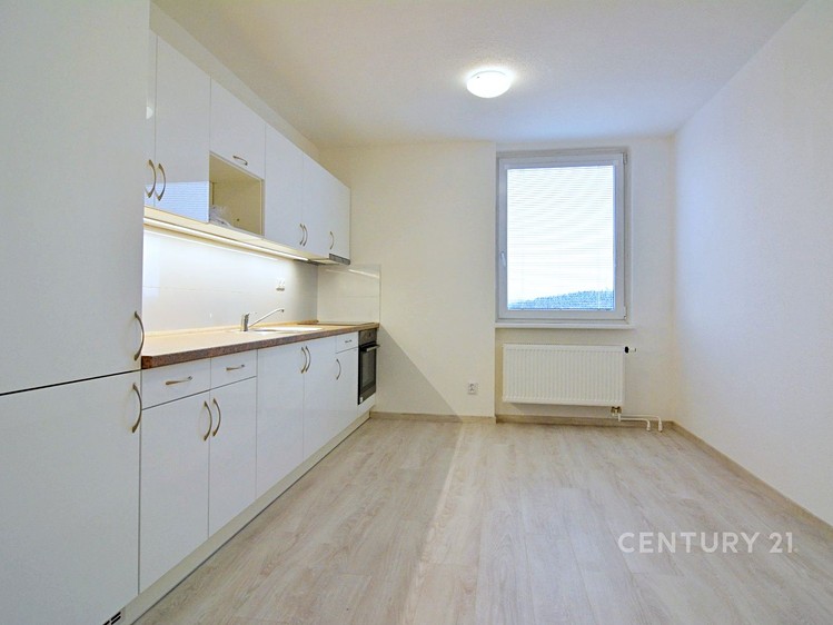Pronájem bytu 3+kk 59 m² - foto 3