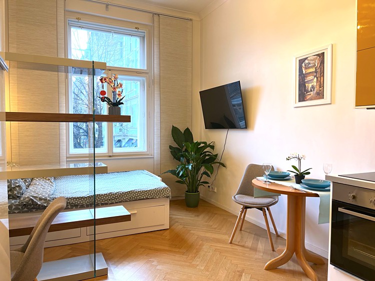 Pronájem bytu 1+kk 23 m² - foto 6