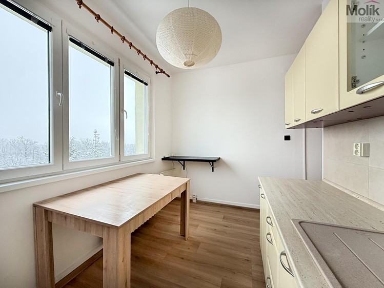 Pronájem bytu 2+1 52 m² - foto 6