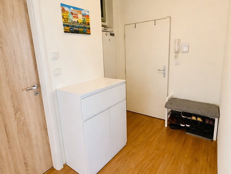 Pronájem bytu 2+1 53 m² - foto 7