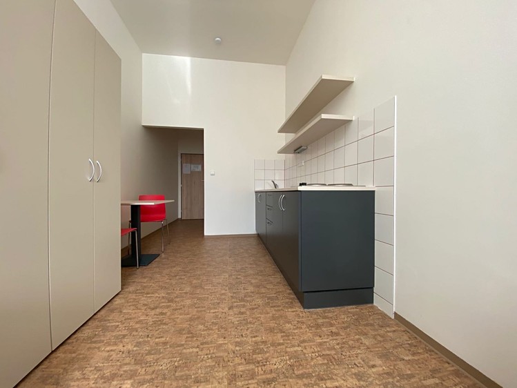 Pronájem bytu 1+kk 18 m² (Jednopodlažní) - foto 3