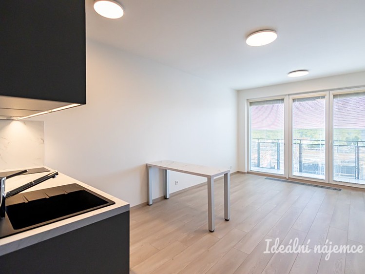Pronájem bytu 1+kk 32 m² - foto 3