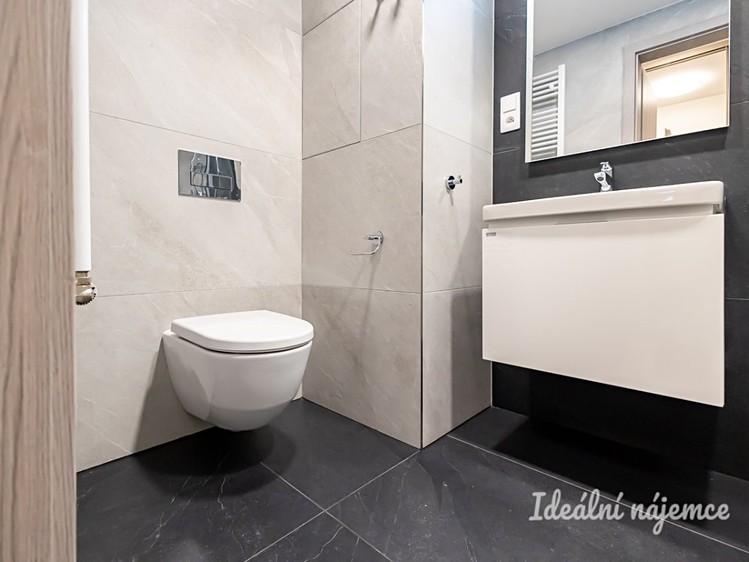 Pronájem bytu 1+kk 32 m² - foto 8