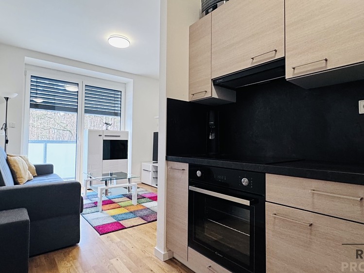 Pronájem bytu 1+kk 37 m² - foto 2