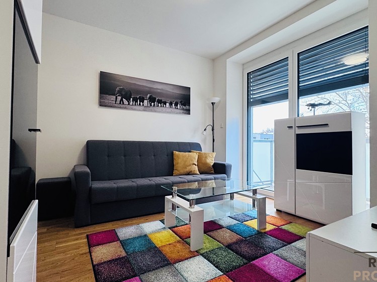 Pronájem bytu 1+kk 37 m² - foto 4
