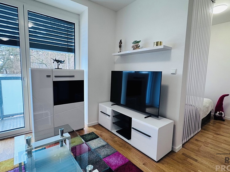 Pronájem bytu 1+kk 37 m² - foto 5