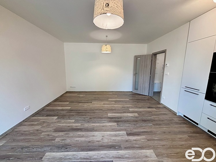 Pronájem bytu 2+kk 46 m² (Jednopodlažní) - foto 4