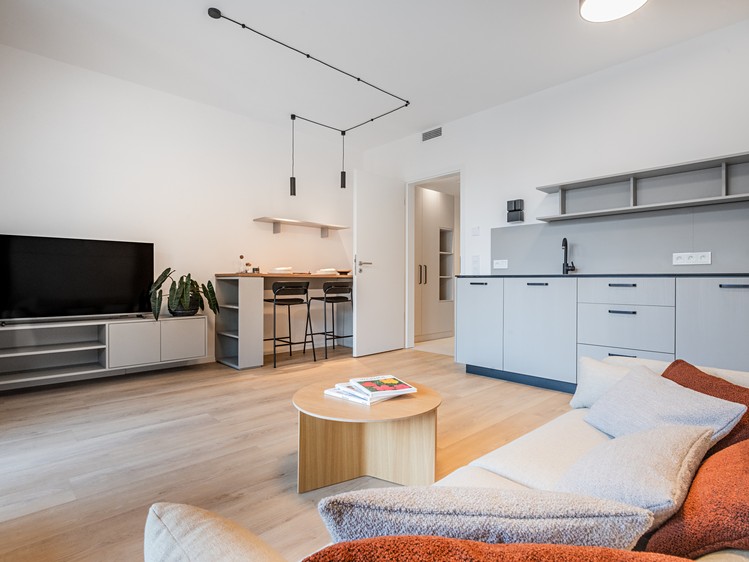 Pronájem bytu 1+kk 33 m² (Jednopodlažní) - foto 3