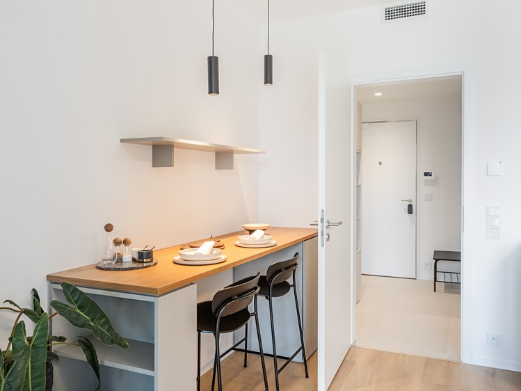 Pronájem bytu 1+kk 33 m² (Jednopodlažní) - foto 5