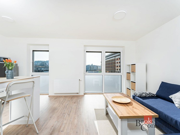 Pronájem bytu 1+kk 31 m² - foto 7
