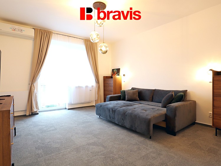 Pronájem bytu 1+1 43 m² - foto 1