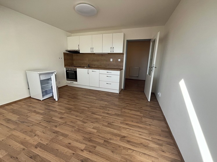 Pronájem bytu 1+kk 31 m² (Podkrovní) - foto 8