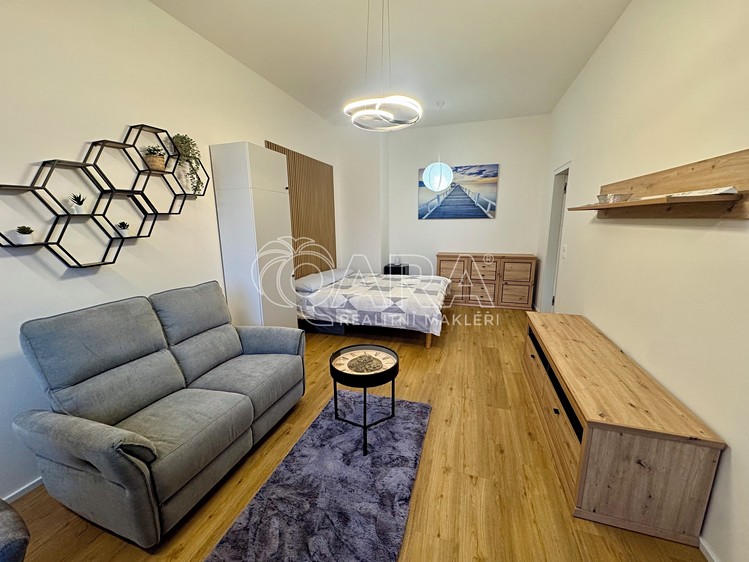 Pronájem bytu 1+kk 42 m² (Jednopodlažní) - foto 3
