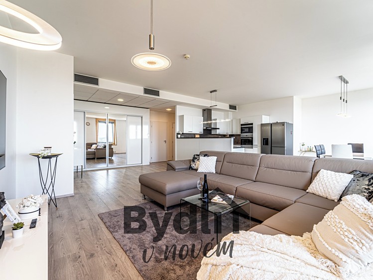Pronájem bytu 4+kk 166 m² - foto 8