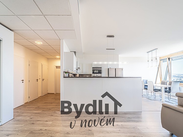 Pronájem bytu 4+kk 166 m² - foto 7