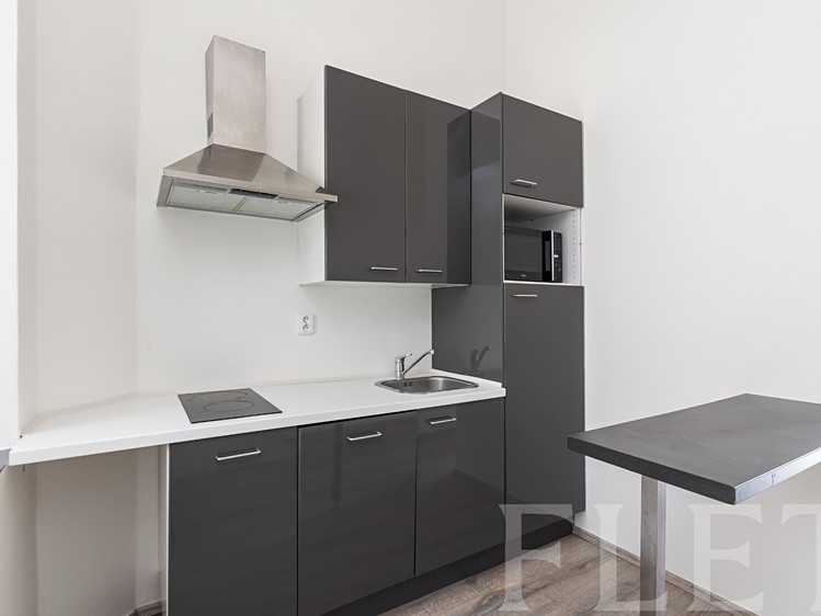 Pronájem bytu 1+1 40 m² - foto 4