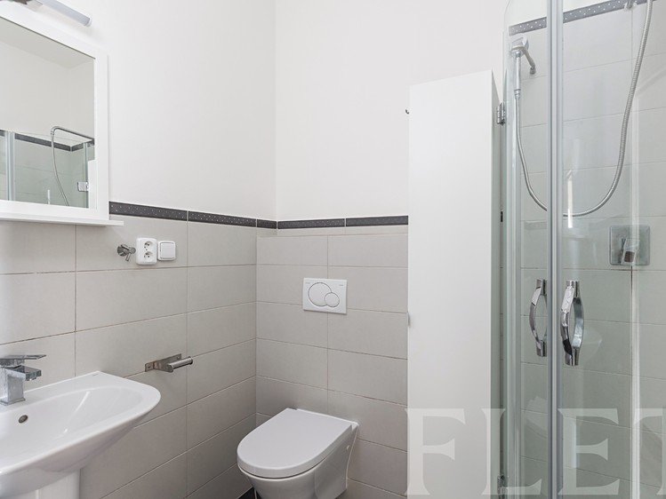 Pronájem bytu 1+1 40 m² - foto 3