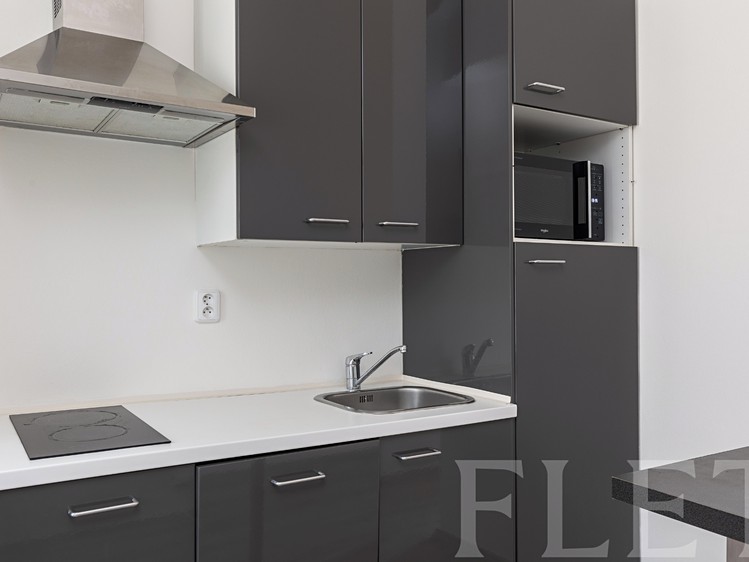Pronájem bytu 1+1 40 m² - foto 1