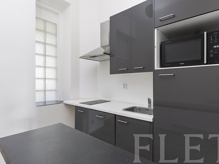 Pronájem bytu 1+1 40 m² - foto 5
