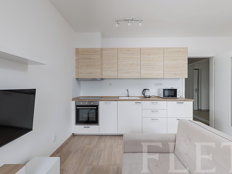 Pronájem bytu 1+kk 40 m² - foto 3