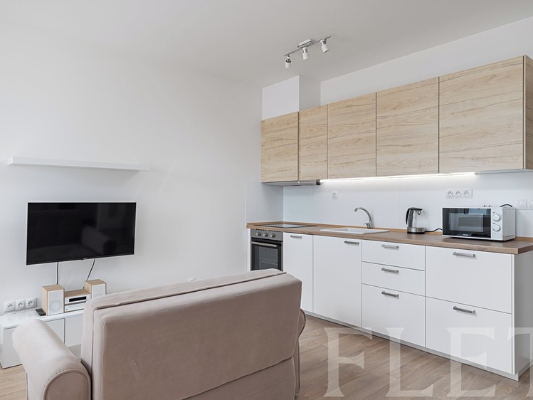 Pronájem bytu 1+kk 40 m² - foto 4