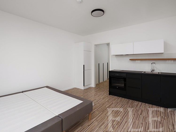 Pronájem bytu 1+kk 25 m² - foto 1