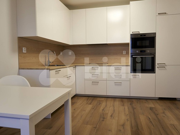 Pronájem bytu 2+kk 55 m² - foto 4