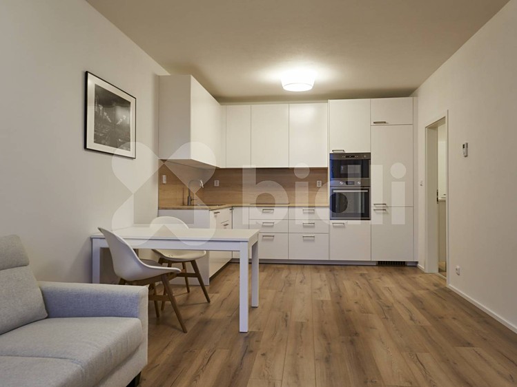 Pronájem bytu 2+kk 55 m² - foto 2