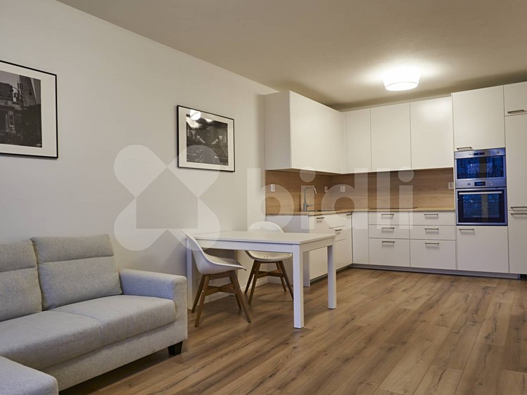Pronájem bytu 2+kk 55 m² - foto 5