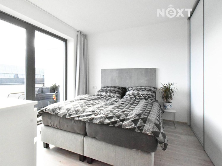 Pronájem bytu 2+kk 37 m² (Jednopodlažní) - foto 7