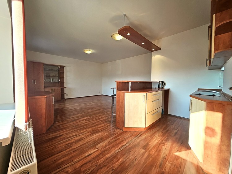 Pronájem bytu 2+kk 46 m² (Jednopodlažní) - foto 4