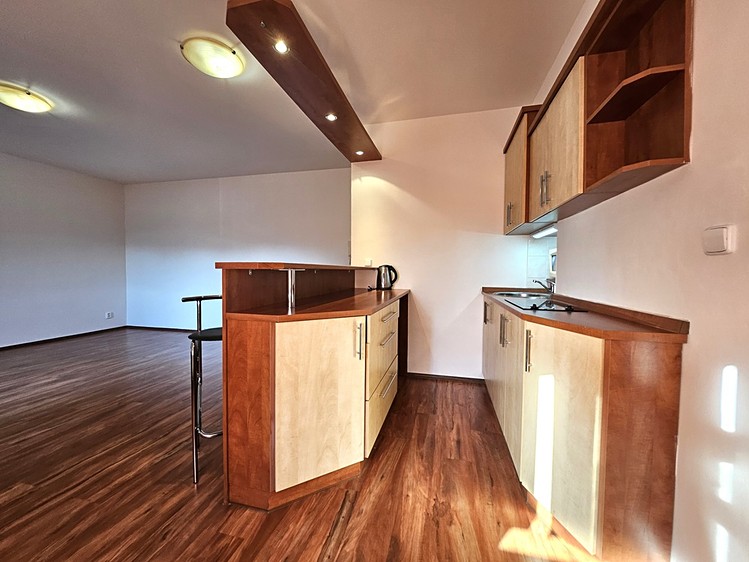 Pronájem bytu 2+kk 46 m² (Jednopodlažní) - foto 5