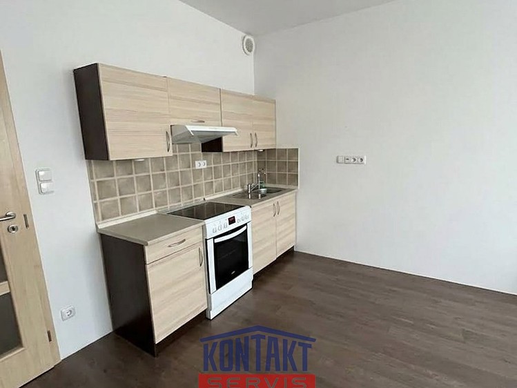 Pronájem bytu 1+kk 53 m² - foto 3