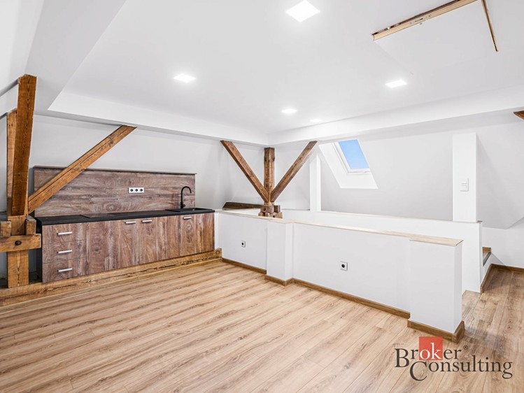 Pronájem bytu 1+kk 85 m² - foto 8